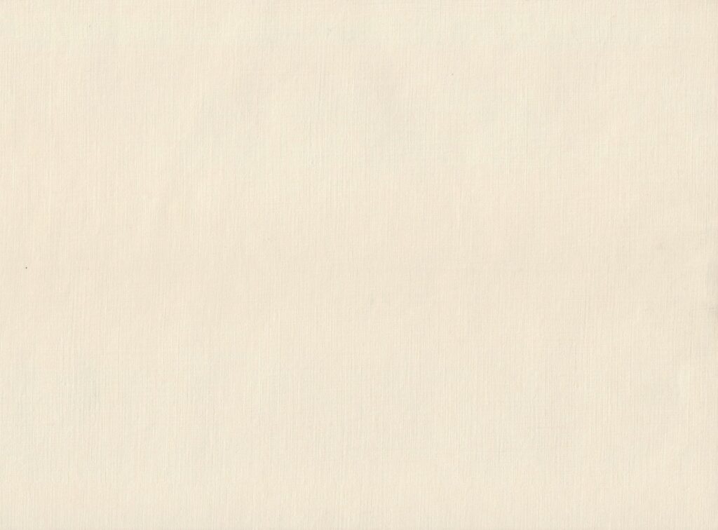 ベージュバック